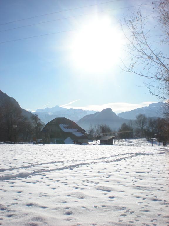 فندق Mieussyفي  Les Paddocks Du Mont Blanc المظهر الخارجي الصورة